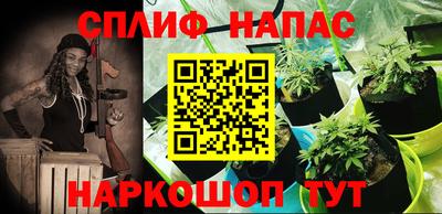 ECSTASY Обь